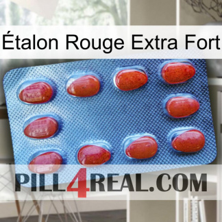 Étalon Rouge Extra Fort 06